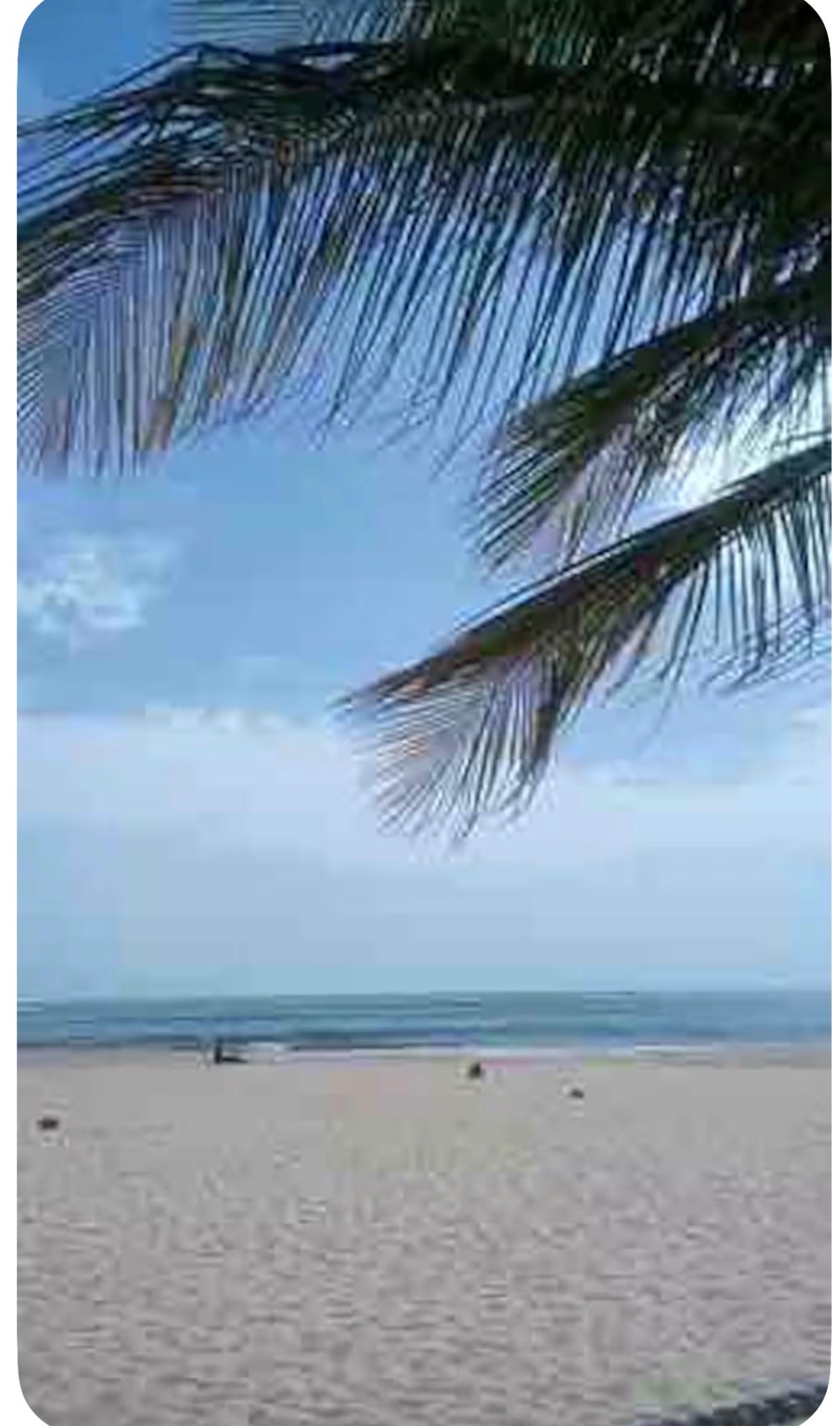 Plage de Saly